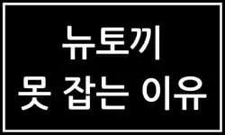 뉴토끼 사이트가 법적으로 잡히지 않는 이유를 설명하는 이미지