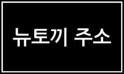 뉴토끼 최신 주소 안내 이미지